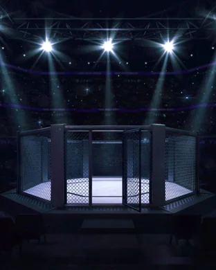 APFC 24: Milwaukee Fight Night 11
