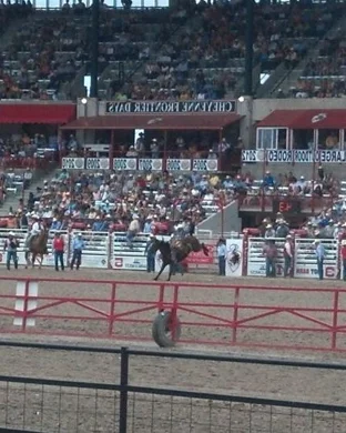 PBR - Professional Bull Riders