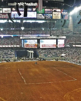 Next Level Bull Riding