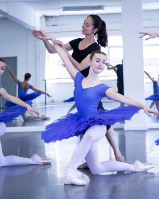 Swan Lake - Symphony of Lights